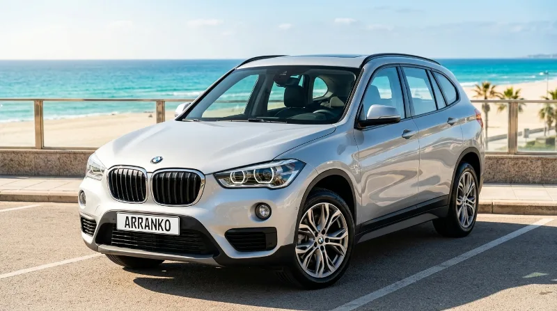 BMW X1 2016–2020