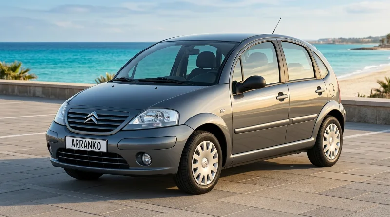 Citroën C3 2004–2008